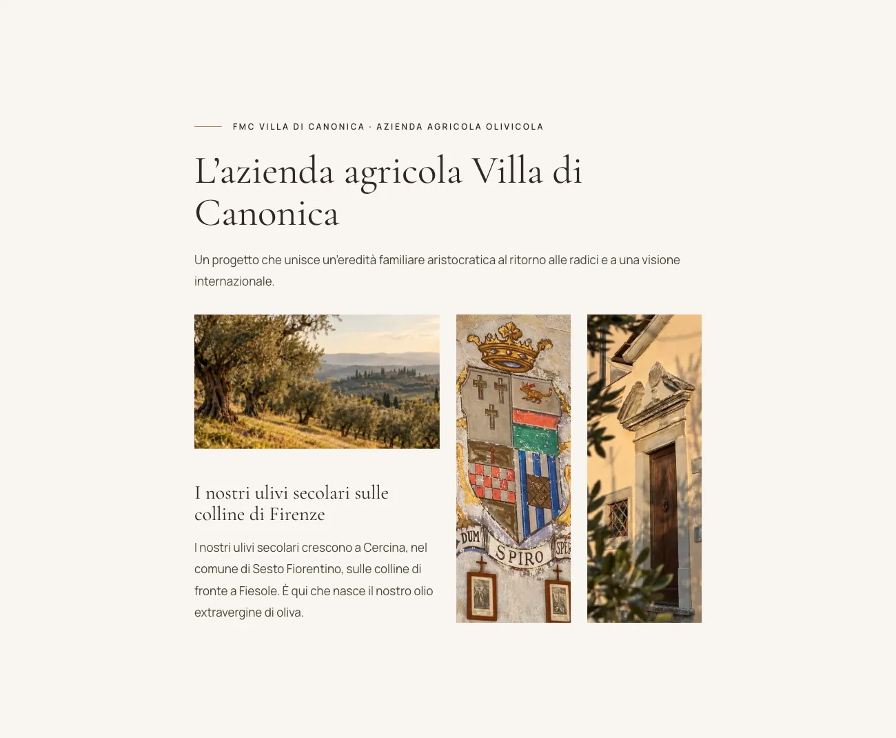 Sezione azienda del sito di Villa di Canonica con foto degli ulivi, dello stemma di famiglia e dell'ingresso della villa