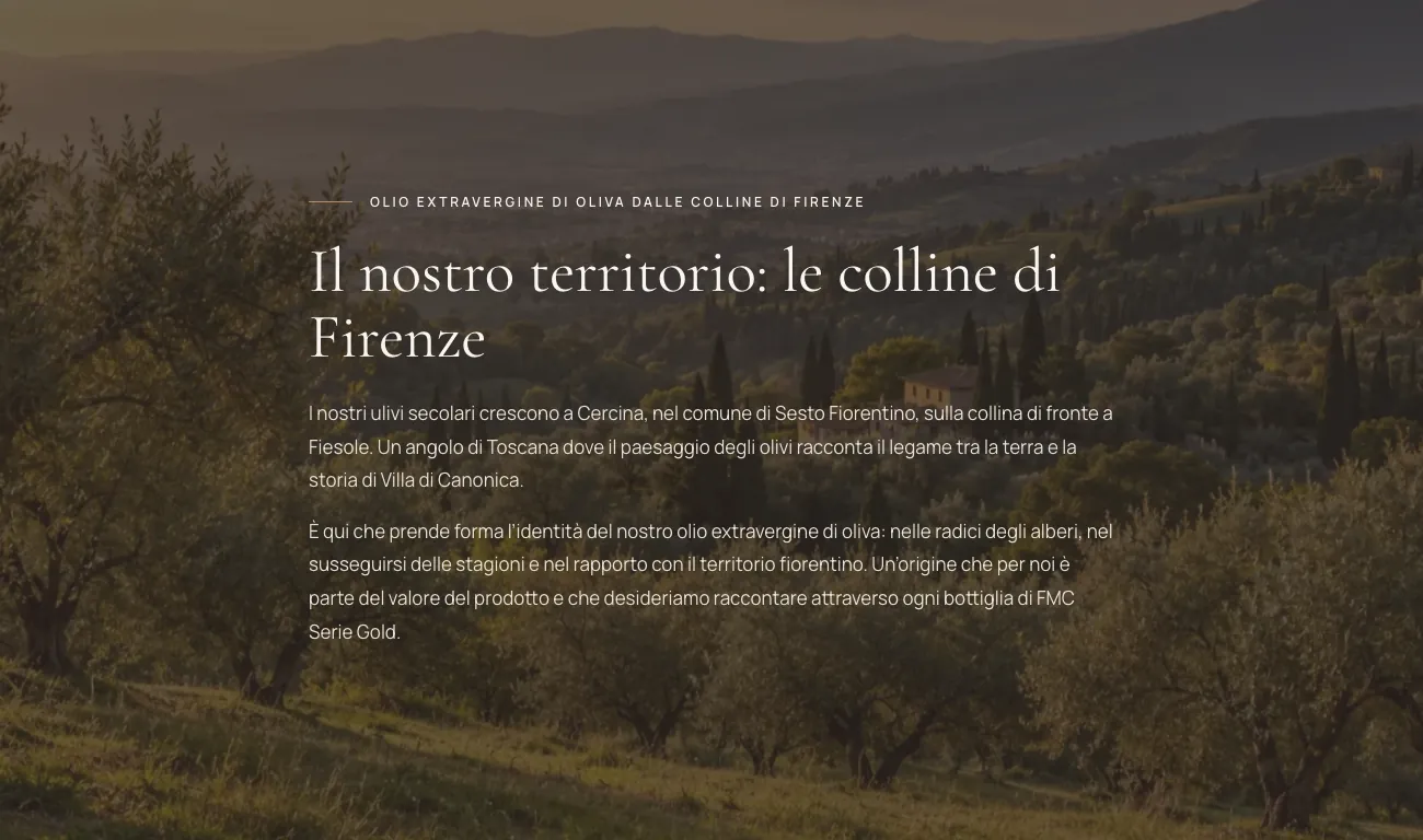 Sezione territorio del sito di Villa di Canonica con testo su immagine a tutta larghezza degli uliveti sulle colline di Firenze